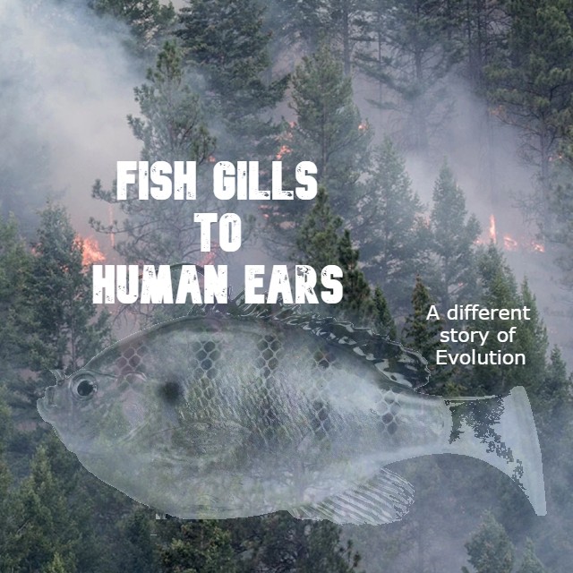 Fish Gills to Human Ears - The story of Prachetas (Prachina Barhis))